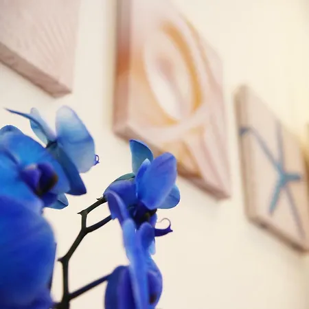 Romeo's House Apartman